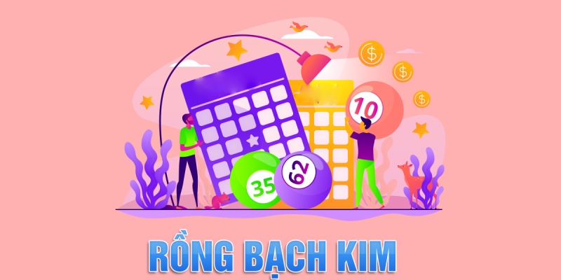 Ý nghĩa về khái niệm thống kê Rồng Bạch Kim
